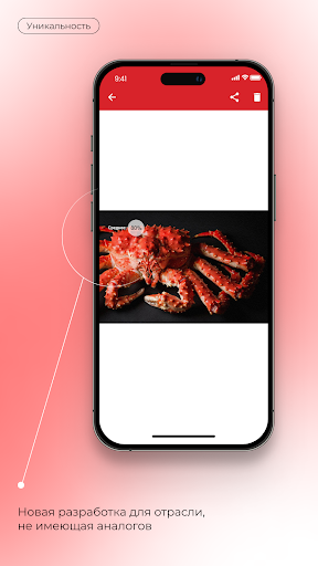 CrabMIC Screen 3