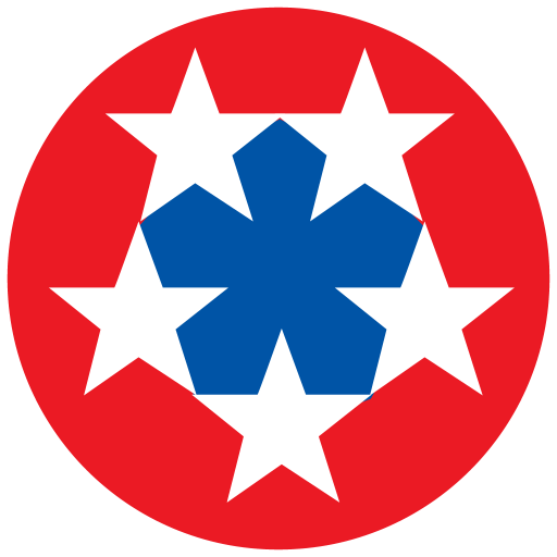 MyEisenhower logo