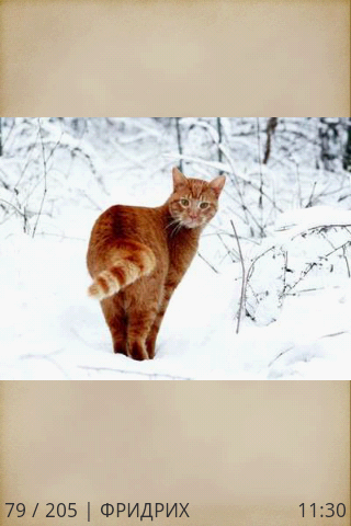 Праздник Рождества Screen 3