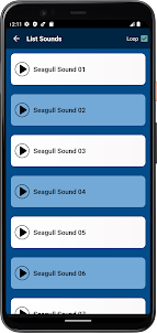Seagulls Sounds