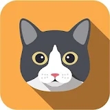 Free Funny Cats Video icon