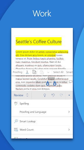 Microsoft Word screenshot 3