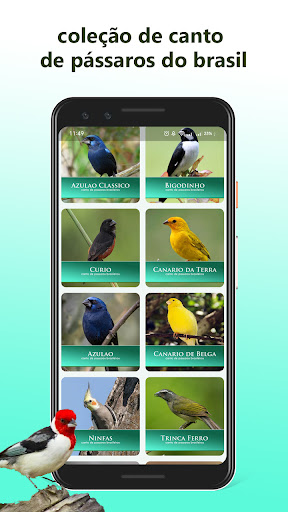 Todos Em-1 Cantos Dos Passaros