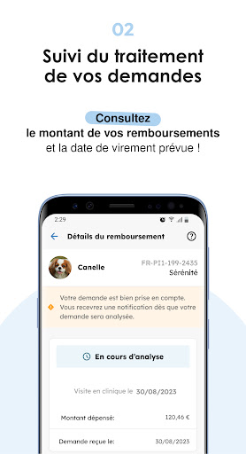 Bulle Bleue Screen 3
