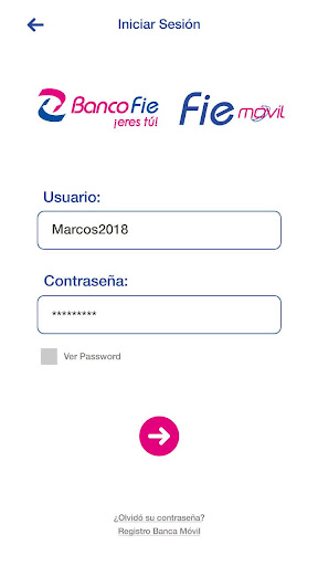 FIE Móvil Screen 3
