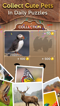 Game screenshot Woody Cross: Word Connect apk download