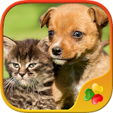 Dogs vs Cats: Kid Puzzle Games icon