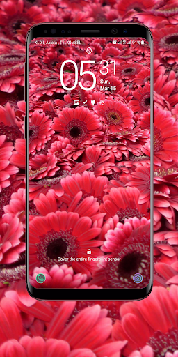 Red Flower Wallpaper Screen 2
