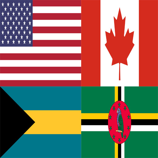 Guess North American Flag Name logo