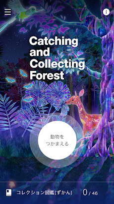 Catching and Collecting Forestのおすすめ画像1