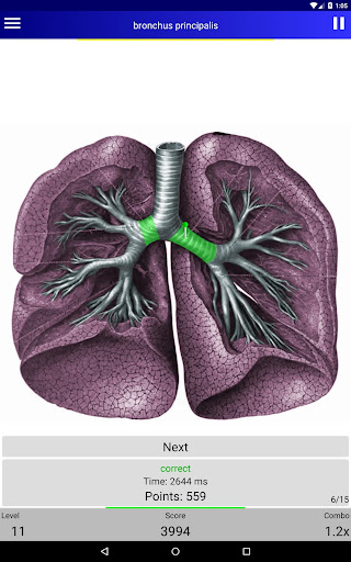 Anatomy Quiz 4.6.1 screenshots 6