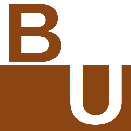 Bible Underground logo