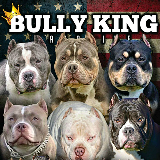 BULLY KING Magazine