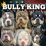 BULLY KING Magazine icon