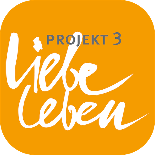 MeinP3 Download on Windows