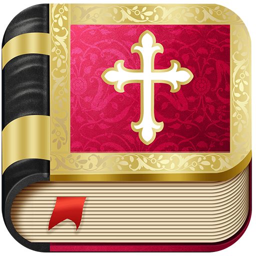KJV Bible for teenagers logo