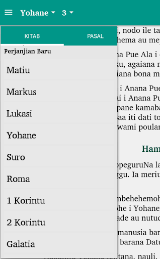 Alkitab Napu Screen 3