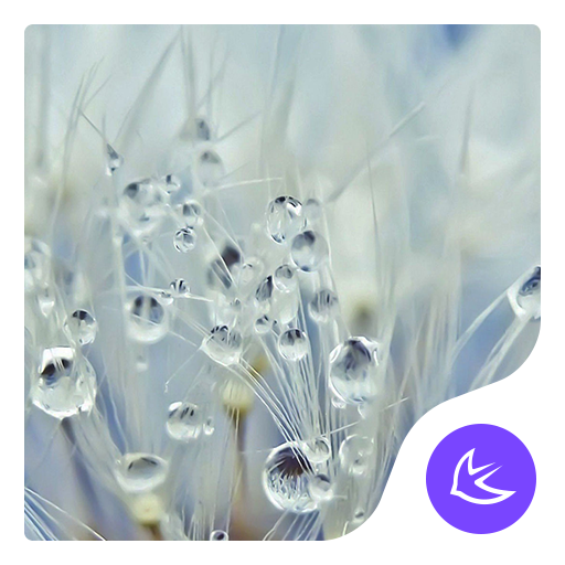 Grass in the rain-APUS Launche  Icon