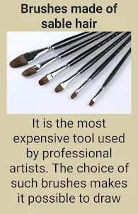 Types of bristles for brushes