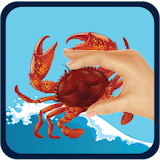 Crab Fishing icon
