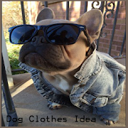 Dog Clothes Idea
