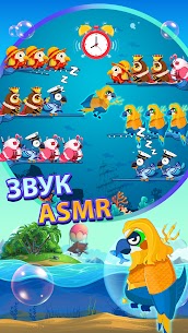 Сортировка по цвету птицы 4