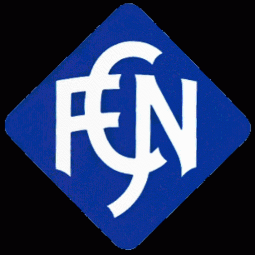 FC Neustadt 1911 4.9.1 Icon