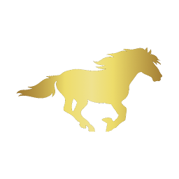 Icon image Süvari Kurye