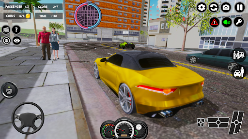 Billionaire Taxi Simulator