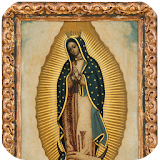 Virgen Guadalupe Caricatura 2 icon