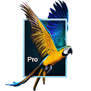 Parallax 3D Effect Wallpaper Pro icon