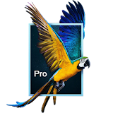 Parallax 3D Effect Wallpaper Pro icon