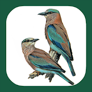 Top 30 Books & Reference Apps Like Birds of Europe & Palearctic - Best Alternatives