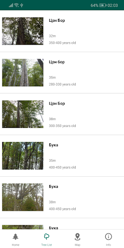 Old-Growth Trees Screen 2