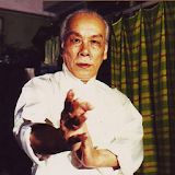 Lok Yiu Wing Chun icon