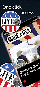 Made in USA live webcams