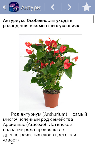 Энциклопедия растений Часть 1 Screen 2