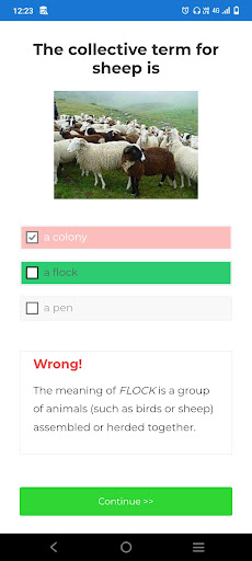 Word quiz - guess the word