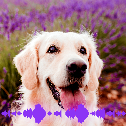 Dog Soundboard 101 تنزيل على نظام Windows