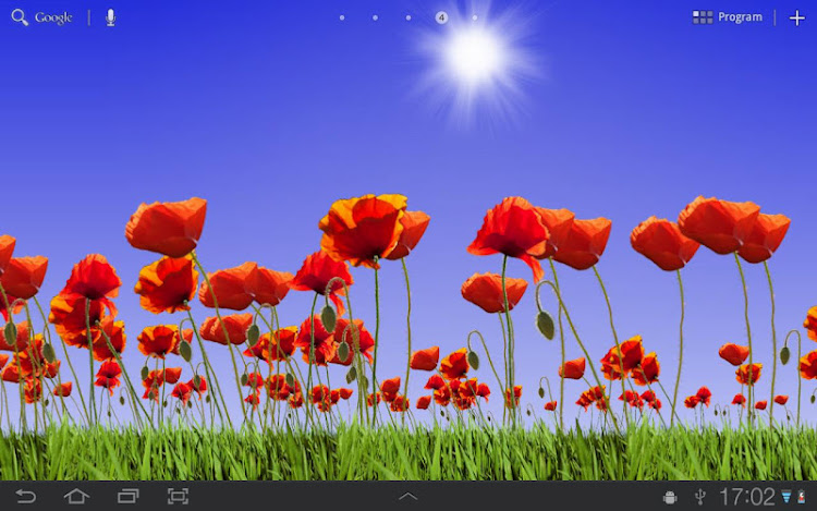 Poppy Field Live Wallpaper by Adermark Media - (Android Apps) — AppAgg