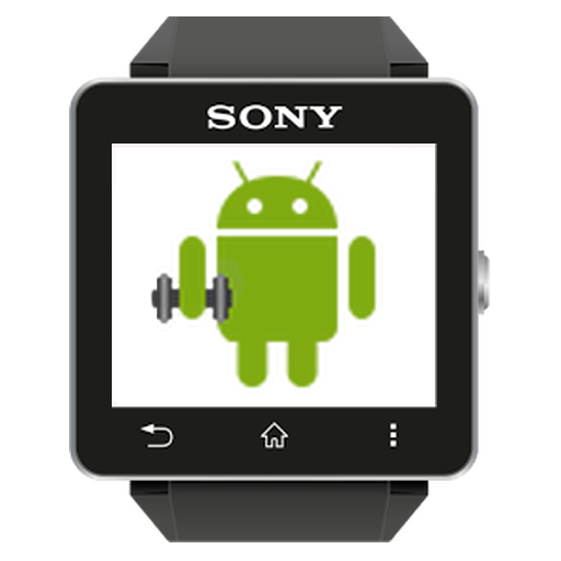 Workout for Sony SW2 Descarga en Windows