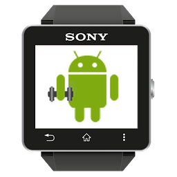 Icon image Workout 💪 for SmartWatch