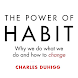 The Power of Habit Book