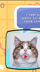 Cat Translator Simulator