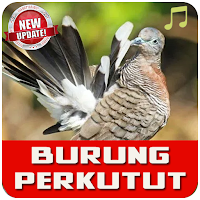 Suara Burung Perkutut Pikat Offline