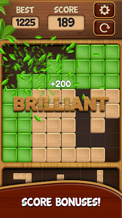 Game screenshot Block Blast * puzzle game hack