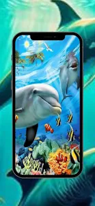 Fish HD Wallpaper