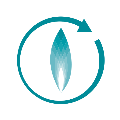 НИПИГАЗ logo