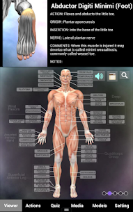 I-Muscle and Bone Anatomy 3D APK (Ikhokhiwe) 1