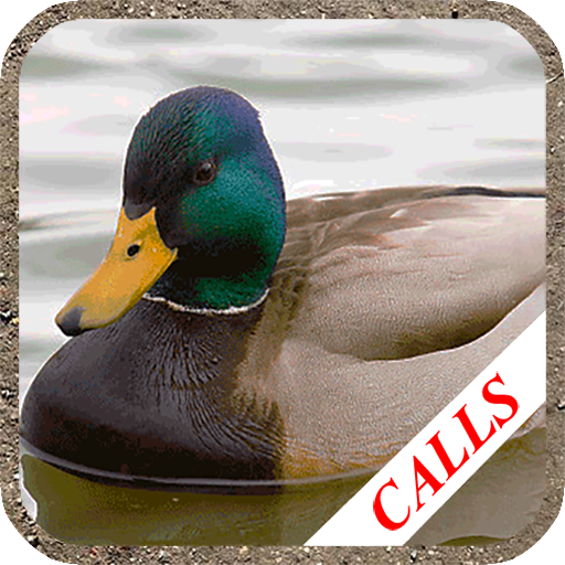 Duck hunting calls 4.99 Icon
